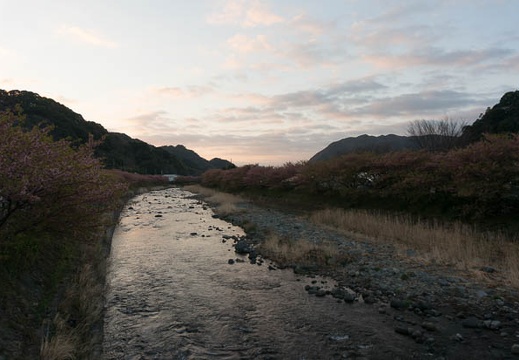 201303110614-DSC02711N.jpg
