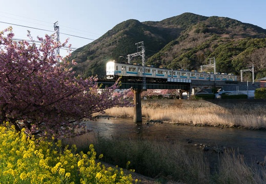 201303110725-DSC02760N.jpg