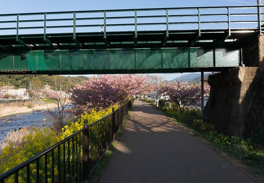 201303110727-DSC02763N.jpg