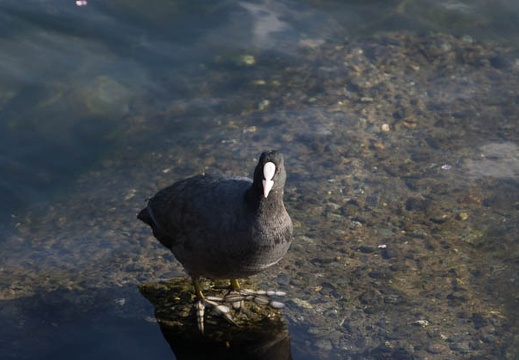 201303110741-DSC03320.jpg
