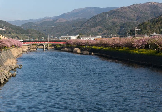 201303110745-DSC02778N.jpg