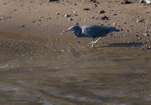201303110806-DSC03426.jpg