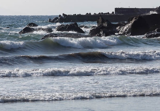 201303110807-DSC03436.jpg