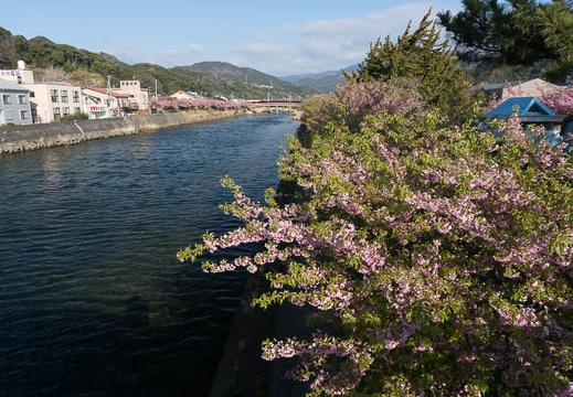 201303110813-DSC02793N.jpg