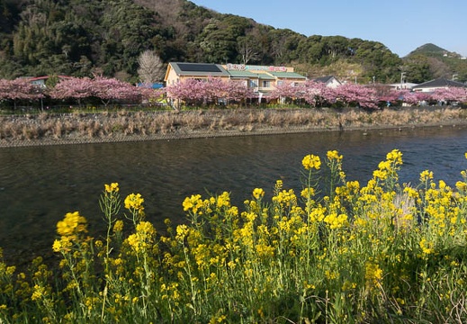 201303110817-DSC02804N.jpg