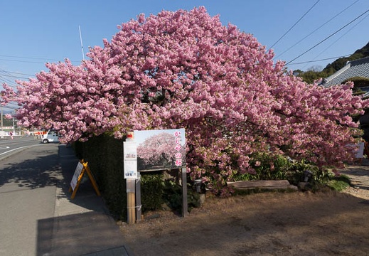 201303110847-DSC03457.jpg