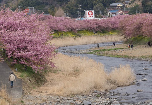 201303111001-DSC03542.jpg