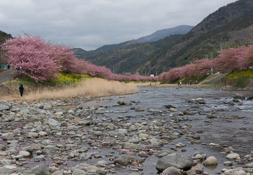 201303111010-DSC02843N.jpg