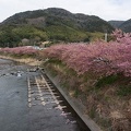 201303111106-DSC02863N.jpg