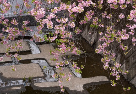 201303111113-DSC03678.jpg