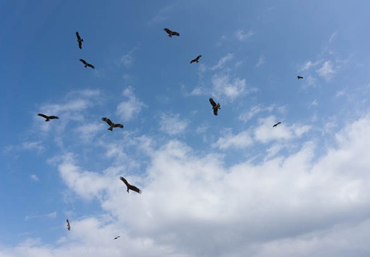 201303111416-DSC02891N.jpg