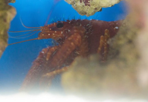 201303111515-DSC03853.jpg