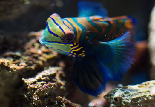 201303111528-DSC03902.jpg