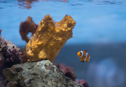 201303111533-DSC03912.jpg