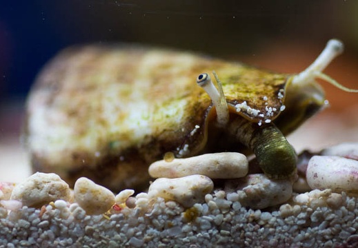 201303111537-DSC03927.jpg