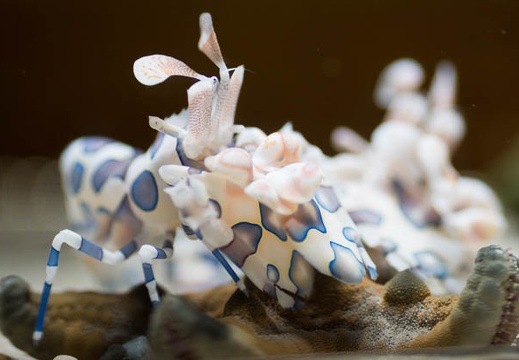201303111538-DSC03935.jpg