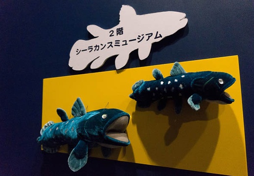 201303111549-DSC02969N.jpg