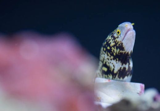 201303111559-DSC03961.jpg