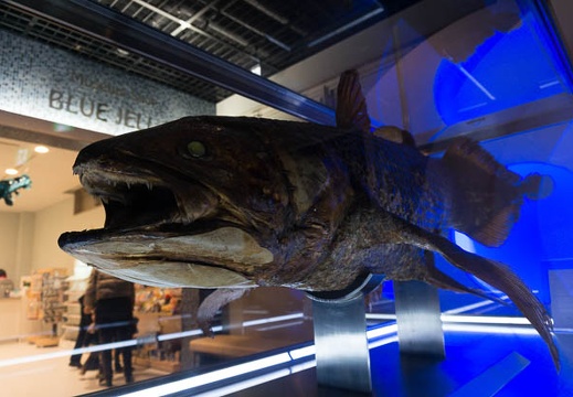 201303111604-DSC02987N.jpg