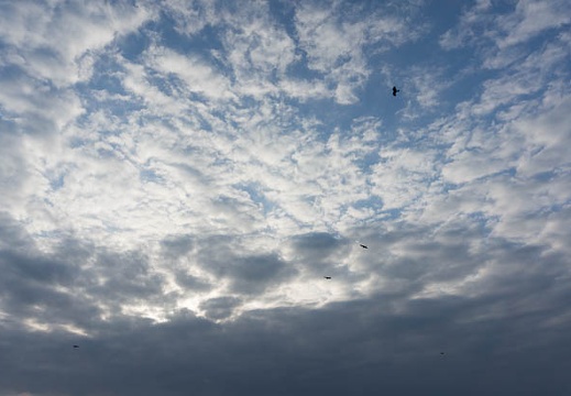 201303111644-DSC03003N.jpg