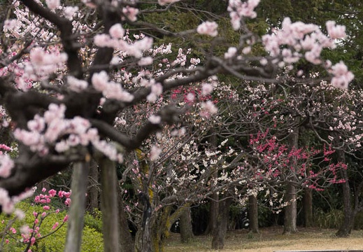 201303131248-DSC04464.jpg