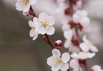 201303131249-DSC04466.jpg