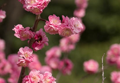 201303131253-DSC04478.jpg