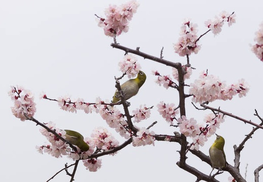 201303131301-DSC04550.jpg