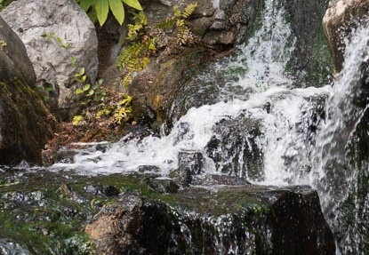 201303131318-DSC04655.jpg