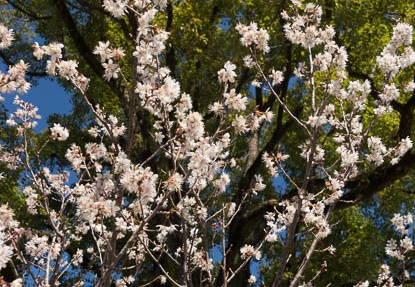 201303151059-DSC04794.jpg