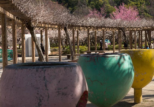 201303151117-DSC04858.jpg