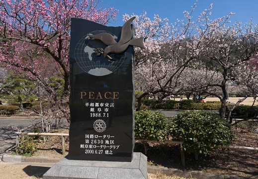 201303151133-DSC03336N.jpg