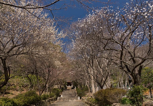 201303151203-DSC04927.jpg