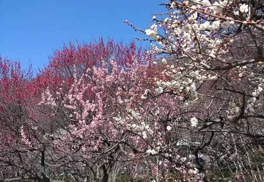 20130315122306-SO-04D.jpg