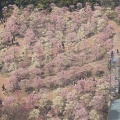 201303161151-DSC05522.jpg