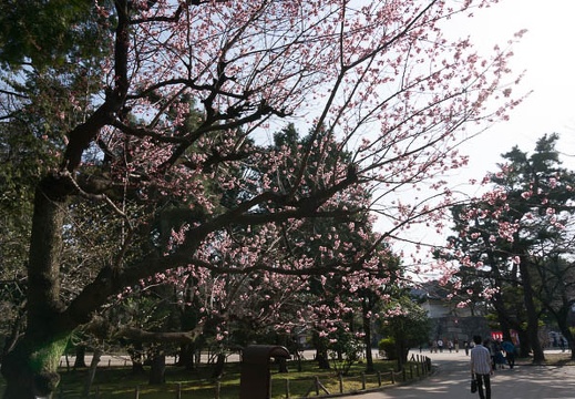 201303191457-DSC03930.jpg