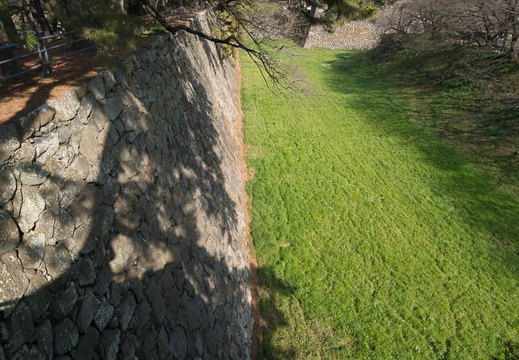 201303191511-DSC03948.jpg