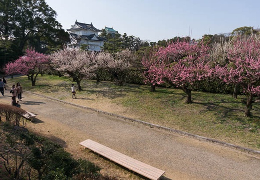 201303191521-DSC03973.jpg