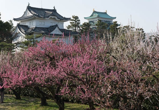 03.19 名古屋