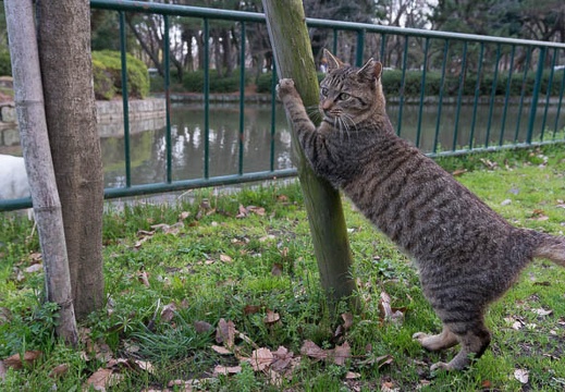 201303191711-DSC04228.jpg