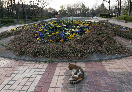 201303191727-DSC04265.jpg