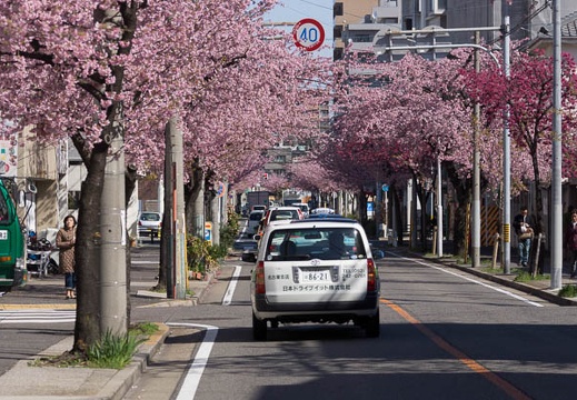201303210940-DSC05903.jpg