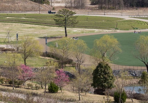 201303221313-DSC06202.jpg