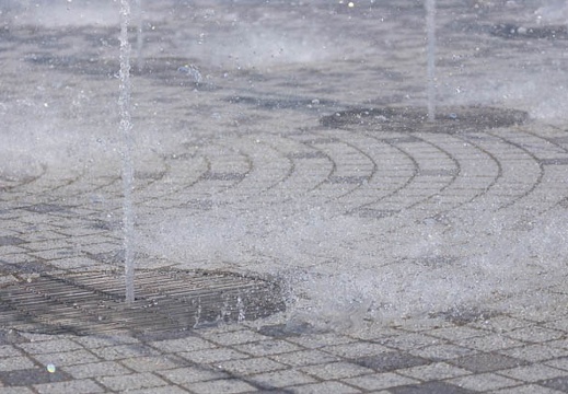 201303221409-DSC06322.jpg