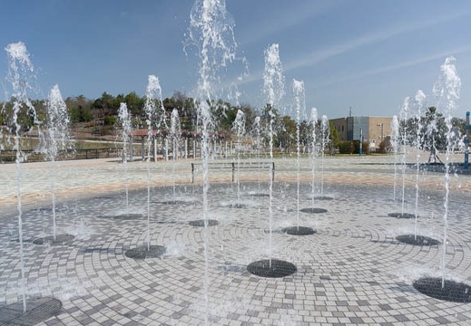 201303221410-DSC04450N.jpg