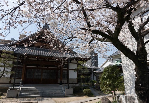 201303251343-DSC04486N.jpg