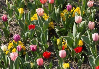 201303251451-DSC06594.jpg