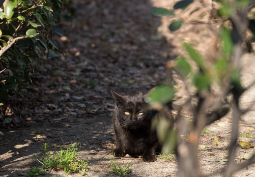 201303251500-DSC06608.jpg