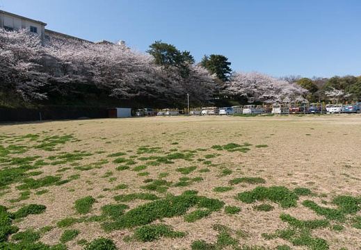 201303260959-DSC04595N.jpg