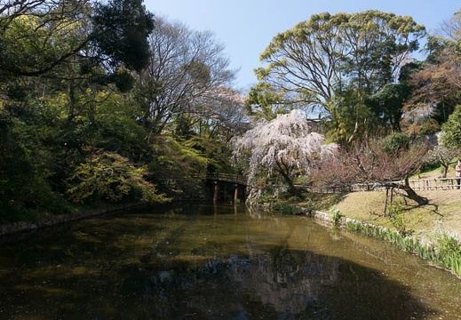 201303261029-DSC04628N.jpg